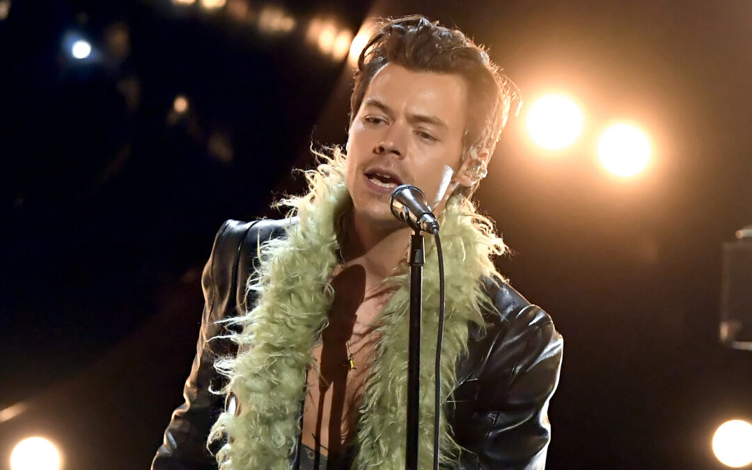 Harry Styles interrumpió su concierto para que una fan pudiera ir al baño